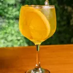 Gin Tropical
