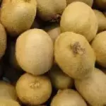 KIWI IMPORTADO BANDEJA 500 GMS