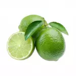 LIMÃO TAHITI AGROECOLÓGICO