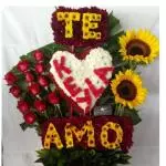 MODELO 073