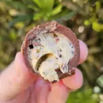 Trufas de chocolate 0% lactose