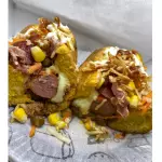 DOGÃO INSANO