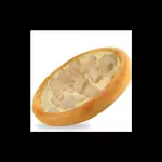 Palmito