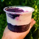 1 LITRO AÇAÍ COM NINHO