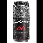 Bud 66 269ml