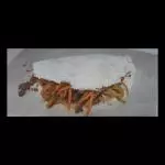 Tapioca de carne moida