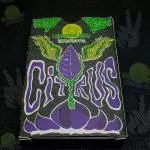 Kumbaya Lemon Blend "Citrus"