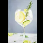 Gin Tônica