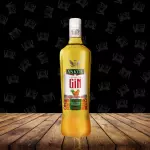 Gin Askov Frutas Tropicais 900ml