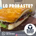 2  LOMOS XL A ELECCION CON FRITAS