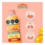 Agua Bonafont Mango1L
