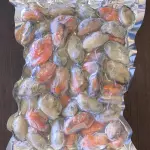 Mexilhão