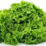 LECHUGA AMERICANA
