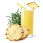 Suco Simples 300ml