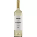 Vino Intipalka Sauvignon Blanc