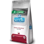 Felino Gastro-Intestinal 2 kg