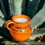 Pulque