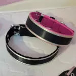 Collar de Paseo decorado