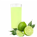 SUCO DE LIMÃO 300ML