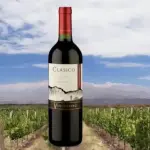 Vinho clássico vestisquero cabernet