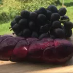 TRANÇA AO VINHO 500G