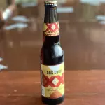 XX Ambar