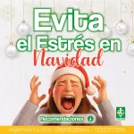 Navidad sin estrés