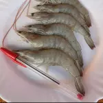 2kg DE CAMARÃO GRANDE