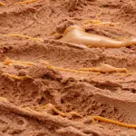 Chocolate - Chocolate Suizo