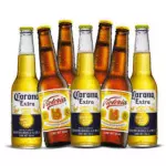 CERVEZAS DE  MEDIA 355 ML 🍻