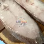 PESCADA AMARELA M