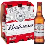 Cerveja Budweiser long neck