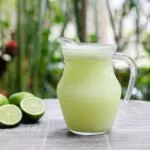Limão com Hortelã - Jarra 500ml