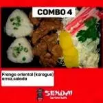 Cod. 355 obento karague