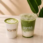 Matcha Latte
