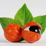 Adicional: Guaraná