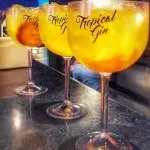 Gin Tropical