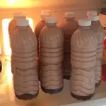 Choco Avena