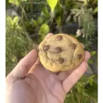 Cookie