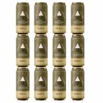 Cerveza Andes rubia 473cc x12
