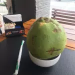 Coco Verde
