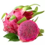 红心火龙果 pitahaya roja