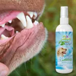 Spray Dental