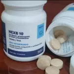 Nexb 10