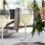 GLASS OF WHITE WINE