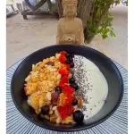 BOWL DE YOGUR  GRANOLA Y FRUTAS