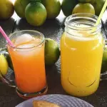 PAPELON CON LIMON
