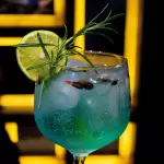 Gin Coconut