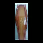 Urna Popular 022 Plano B e 5%