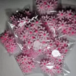 Girasol rosado c/ fucsia